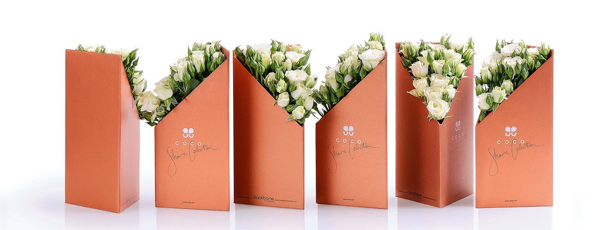 鮮花包裝設(shè)計(jì)案例