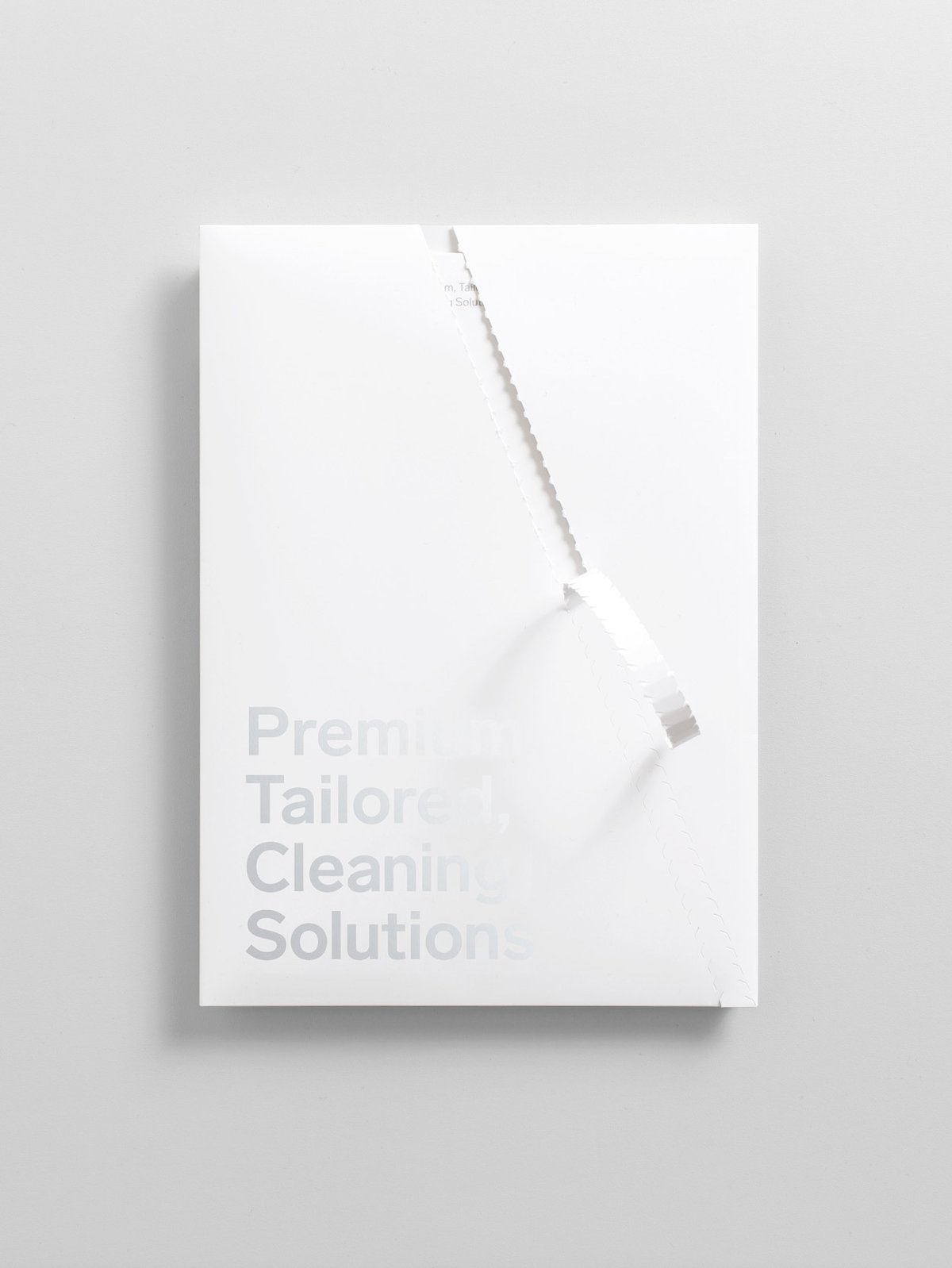 清潔機構(gòu)品牌形象設(shè)計