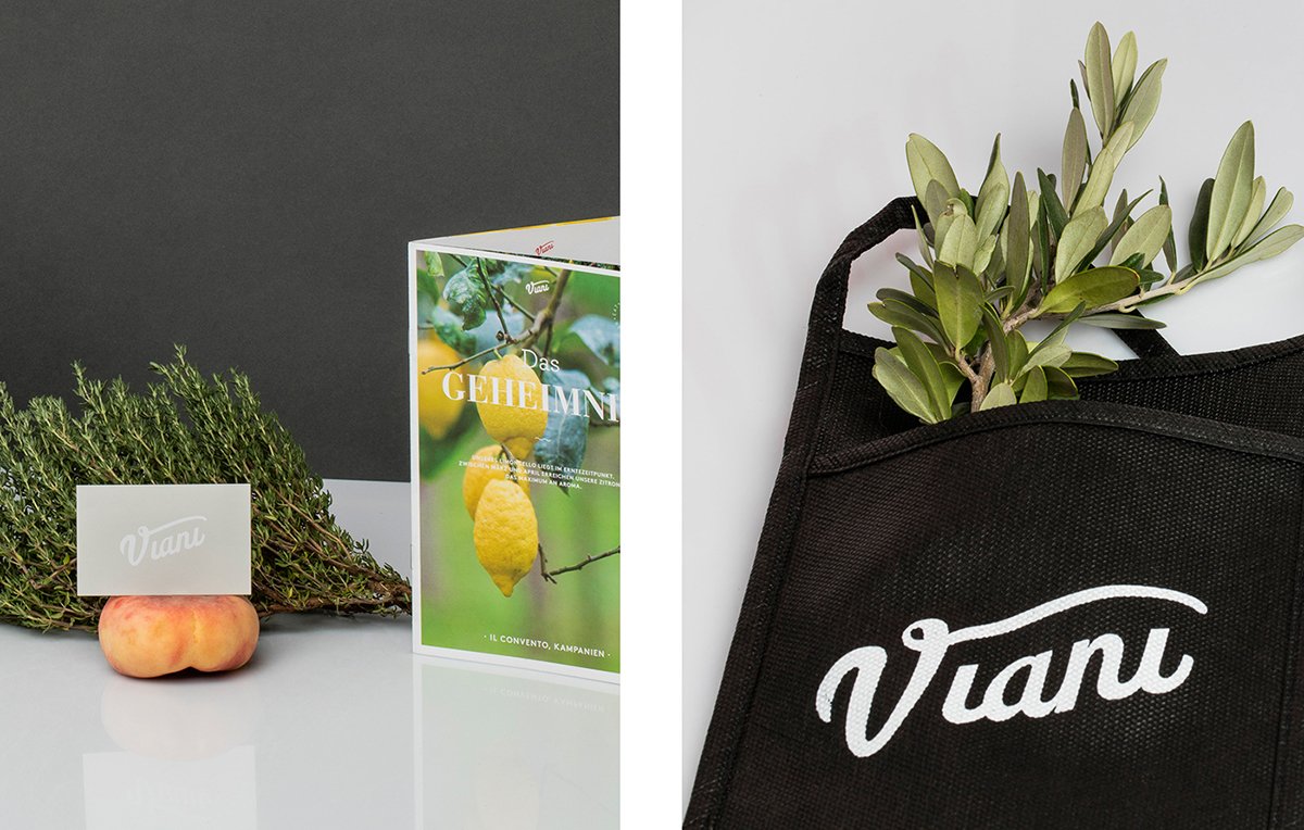 VIANI 品牌形象設(shè)計(jì)