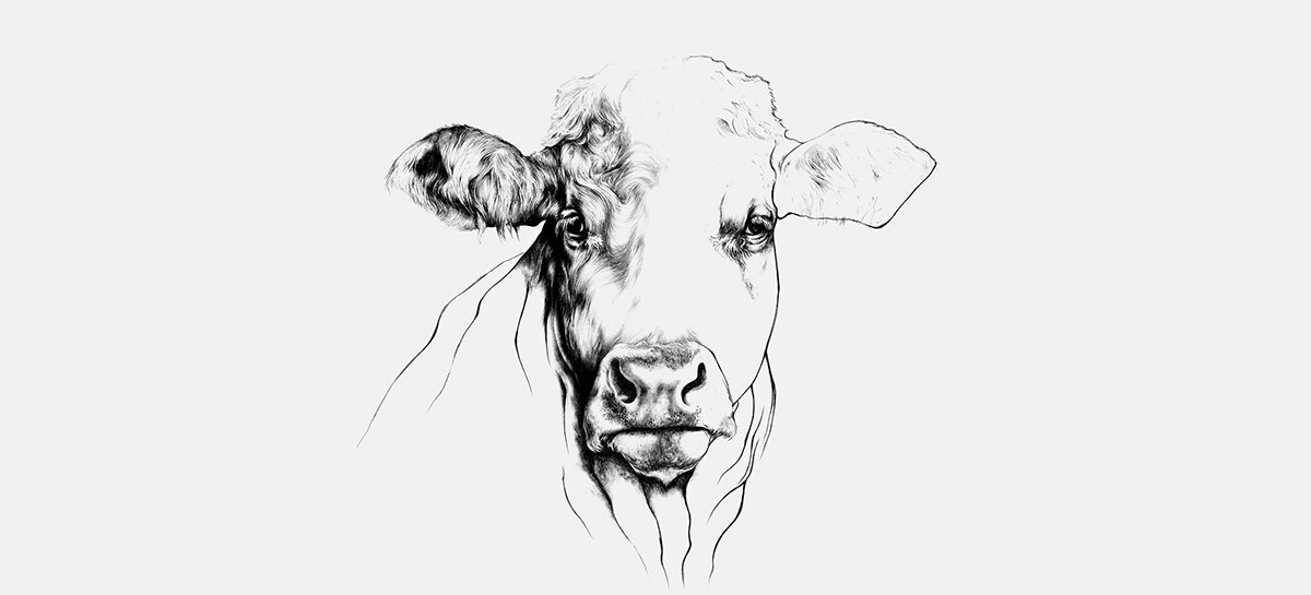 Rorosk 食品品牌形象設(shè)計(jì) 包圖形設(shè)計(jì)