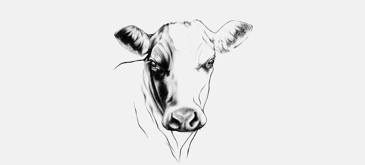 Rorosk 食品品牌形象圖形設(shè)計(jì)