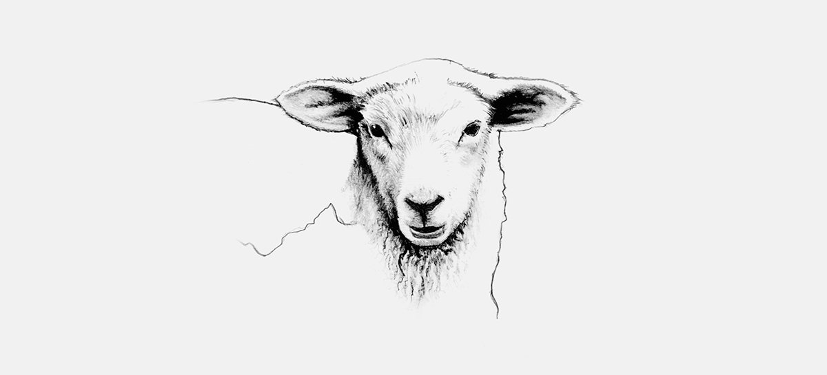 Rorosk 食品品牌形象設(shè)計(jì) 圖形設(shè)計(jì)