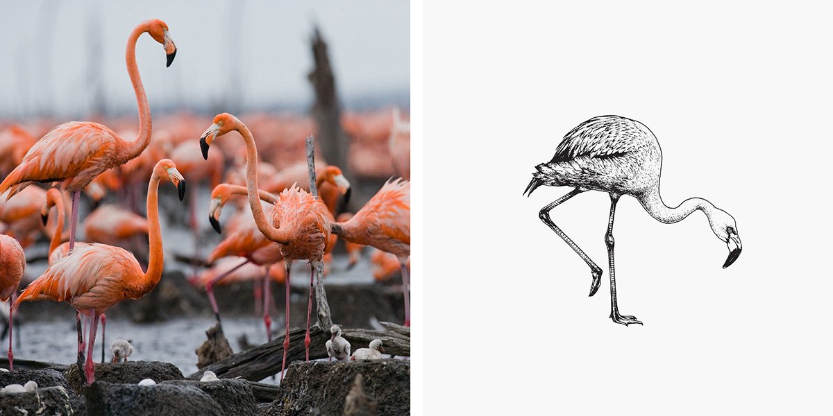 Café Prado 咖啡品牌形象設(shè)計(jì) 插畫設(shè)計(jì)