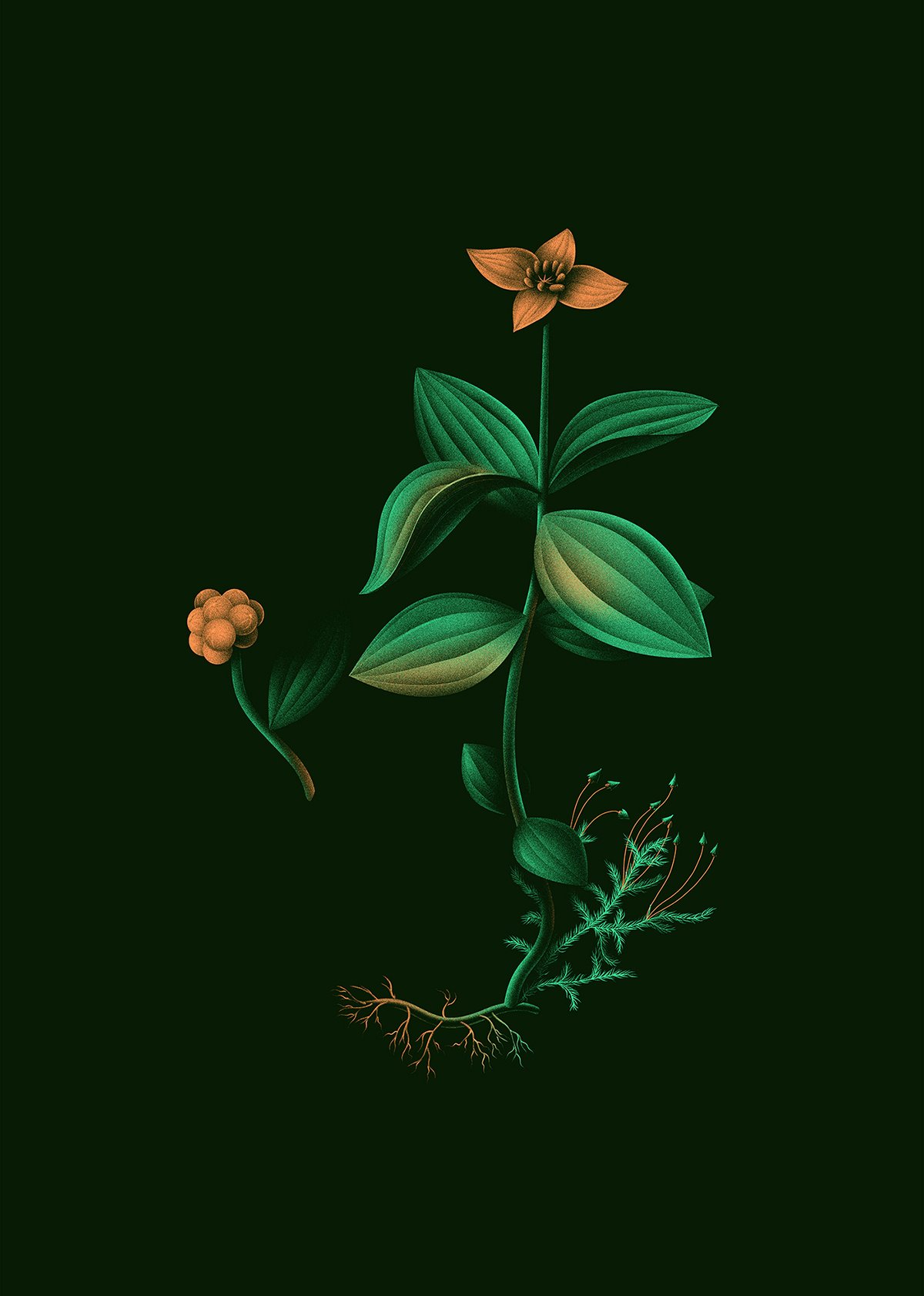 Soubois 酒吧品牌形象設計 植物形象圖設計