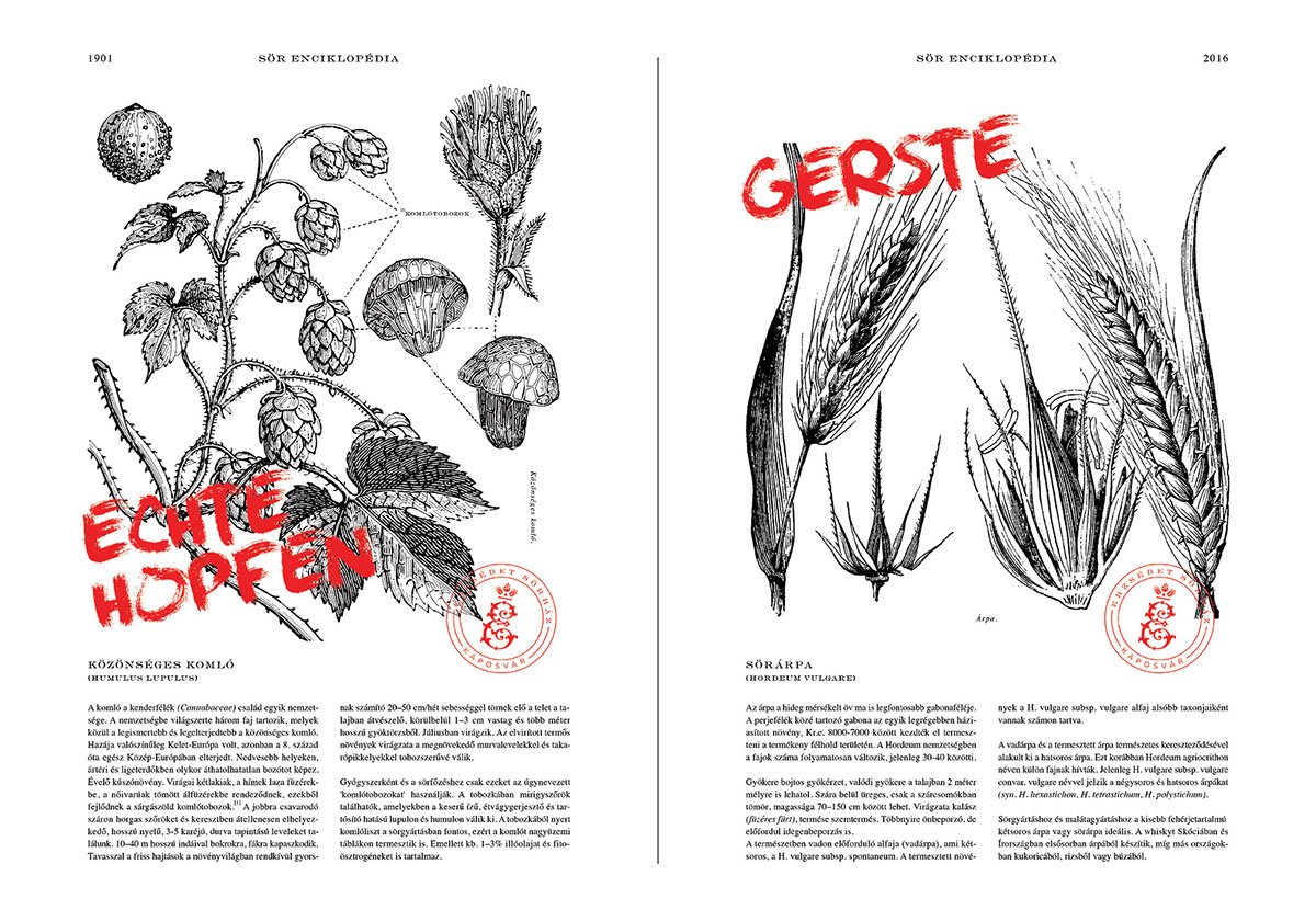Erzsébet 酒吧品牌形象設(shè)計(jì) 插圖設(shè)計(jì)