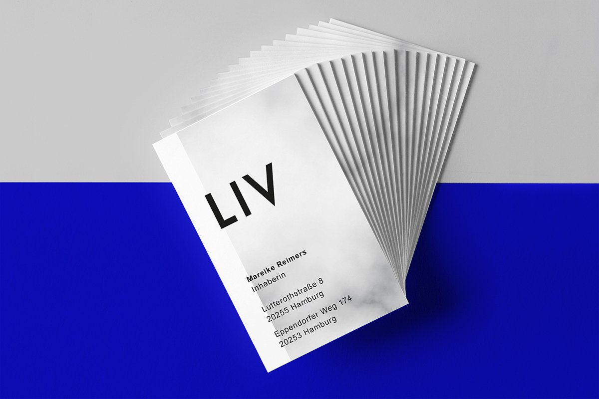 麗芙2 - 斯堪納維亞概念店品牌設(shè)計(jì)  名片設(shè)計(jì)