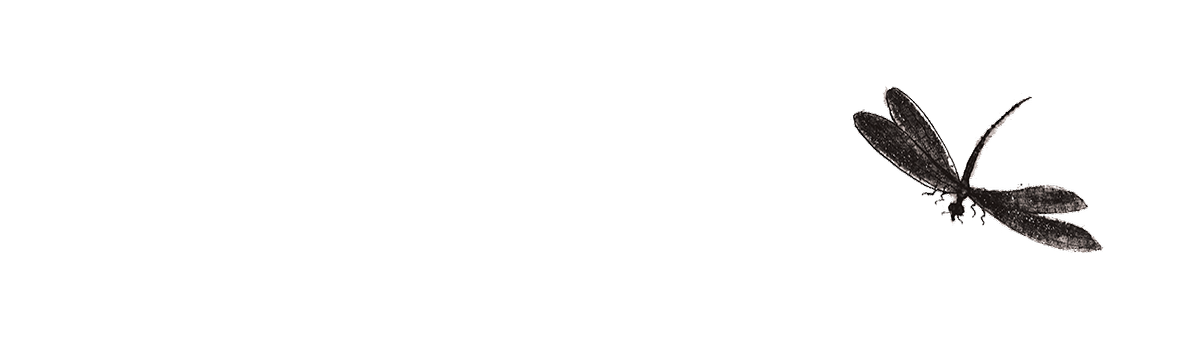 深圳品牌設(shè)計(jì)  深圳品牌策劃  AURA HERBALS香料包裝形象設(shè)計(jì)  包裝設(shè)計(jì)