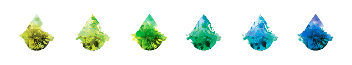 深圳品牌設(shè)計(jì)  深圳品牌策劃  AURA HERBALS香料包裝形象設(shè)計(jì)  包裝設(shè)計(jì)