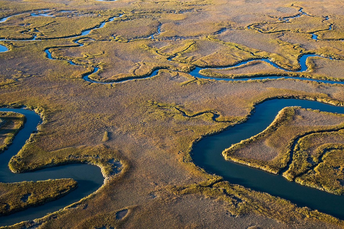 國外餐飲品牌設(shè)計(jì)公司與餐飲品牌策劃公司案例，品牌設(shè)計(jì)，品牌策劃，餐飲品牌設(shè)計(jì)公司，餐飲品牌策劃公司，深圳品牌設(shè)計(jì)，深圳品牌餐策劃