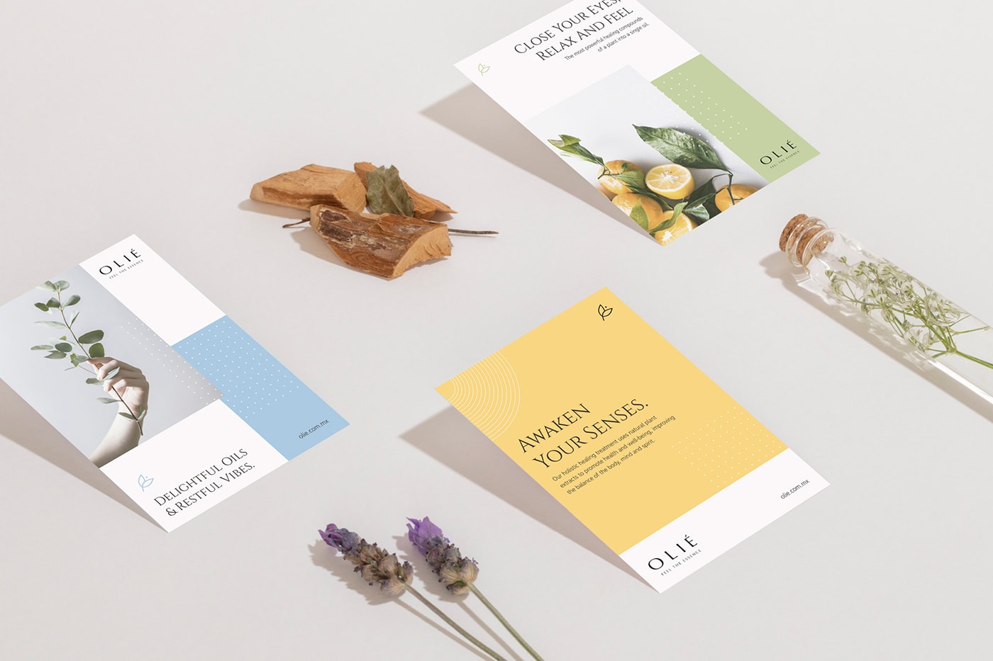 OLIE 香薰產(chǎn)品零售企業(yè)品牌設(shè)計案例，化妝品品牌設(shè)計，品牌設(shè)計公司，深圳品牌設(shè)計，左右格局