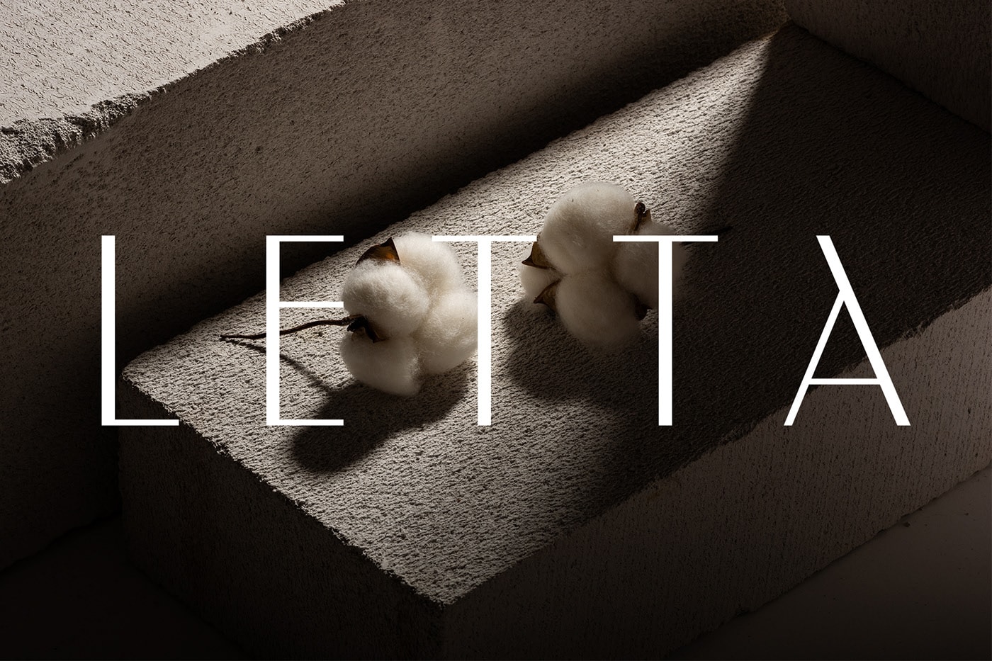 服裝品牌設計，高級服裝設計，深圳品牌設計，左右格局